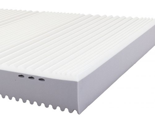 Perla PLUS